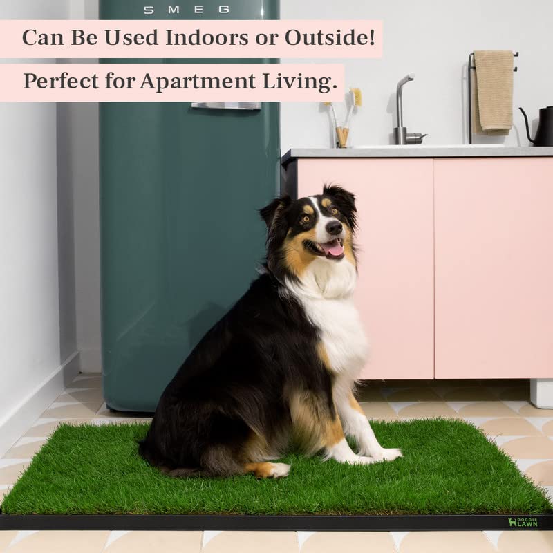 Doggielawn Xl - Real Grass Disposable Pet Potty - 48 X 24 Inches With Plastic Tray - Potty Training Pad For Dogs
